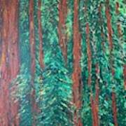 Yosemite Redwoods Art Print