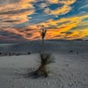 Yucca Sunset Skies At White Sands, New Mexico Art Print