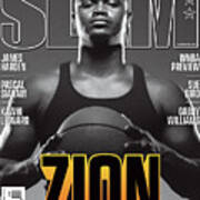 Zion Slam Cover Art Print