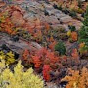 Zion Vibrancy Art Print