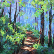 Along The Path #1 Art Print