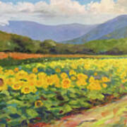 Biltmore Sunflowers #1 Art Print
