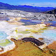 Canary Spring In Yellowstone #1 Art Print