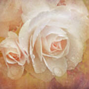 Dreaming Of Peach Roses Art Print