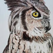 Eagle Owl #1 Art Print