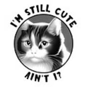 Funny Cat - I'm Still Cute Art Print