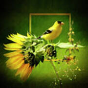 Goldfinch #1 Art Print