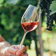 Man Holding Glass Of Red Wine In Vineyard Field. Wine Tasting In #1 Art Print