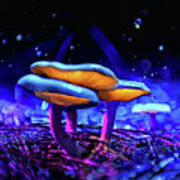 Glowing Mushroom 24 Art Print