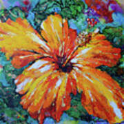 Orange Hibiscus Art Print