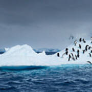 Penguins On Iceberg #1 Art Print