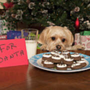 Puppy Checking Out Christmas Cookies #1 Art Print