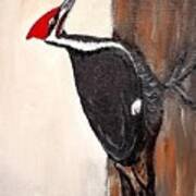 Red Headed Woodpecker  #2 Art Print