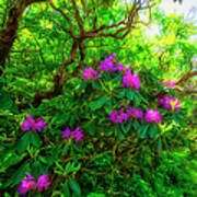 Rhododendrons In Spring I Art Print