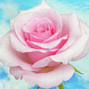 Sky Pink Rose #1 Art Print