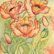 Summer Poppies #1 Art Print