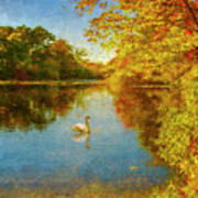 Swan In Autumn #1 Art Print