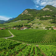Terraced Vineyards Switzerland #1 Art Print