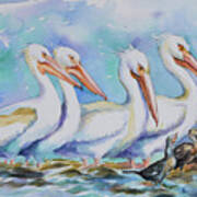 White Pelicans #2 Art Print