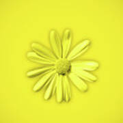 Yellow Daisy Flower #1 Art Print
