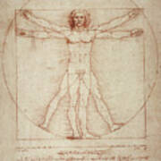 Vitruvian Man Art Print