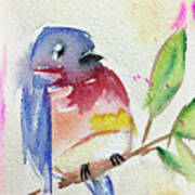 Bluebird On A Branch #2 Art Print