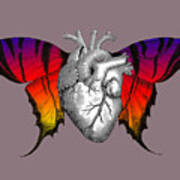 Butterfly Heart #2 Art Print