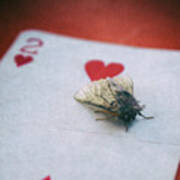 Moth On 2 Of Hearts #2 Art Print