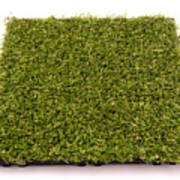 Patch Of Artificial Turf #2 Art Print