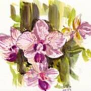 Pink Orchids Art Print