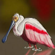 Spoonbill  #2 Art Print