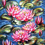 Water Lilies #2 Art Print