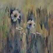 Wild Daisies #1 Art Print