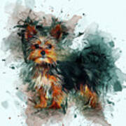 Yorkshire Terrier Art #2 Art Print