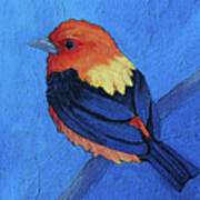 22 Scarlet Tanager Art Print