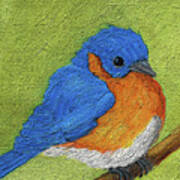 28 Blue Bird Art Print