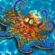 Caribbean Octopus #3 Art Print