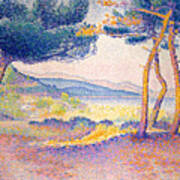 Pines Along The Shore By Henri-edmond Cross Art Print