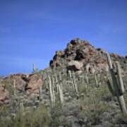 Saguaro National Park #6 Art Print