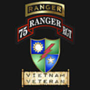 75 Ranger Rgt Vietnam Art Print