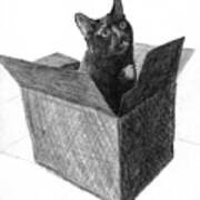 A Black Cat In A Box Sticking His Head Out Of The Box Art Print