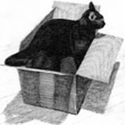 A Black Cat In A Box With His Head And Tail Out Of The Box Art Print