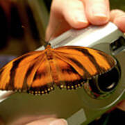 A Butterfly Land On A Camera Trying To Take A Picture Of It. Art Print