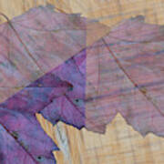 A Collage Of Three Purple Leaves Art Print