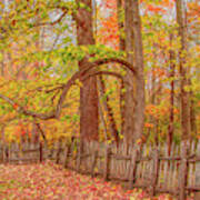 A Crooked Old Fence In The Shadow Of Fall Art Print