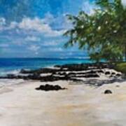 A Deserted Beach Of Mauritius Art Print