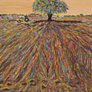 A Look From A Distance At The Plowed Field Art Print