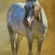 A Texas Horse Art Print