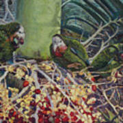 Abaco Parrots I Art Print