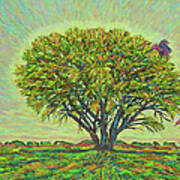 Acacia Tree In Bloom Art Print